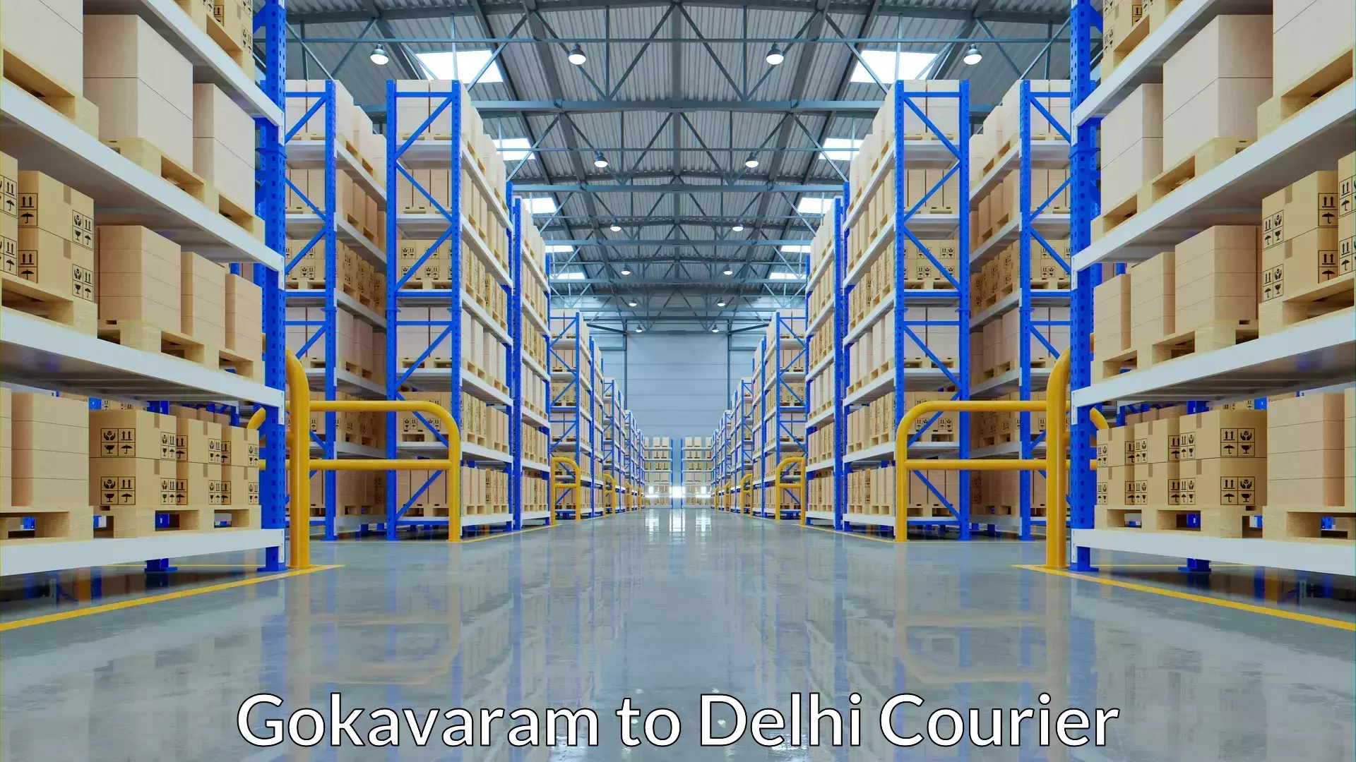 Citywide baggage courier Gokavaram to NIT Delhi