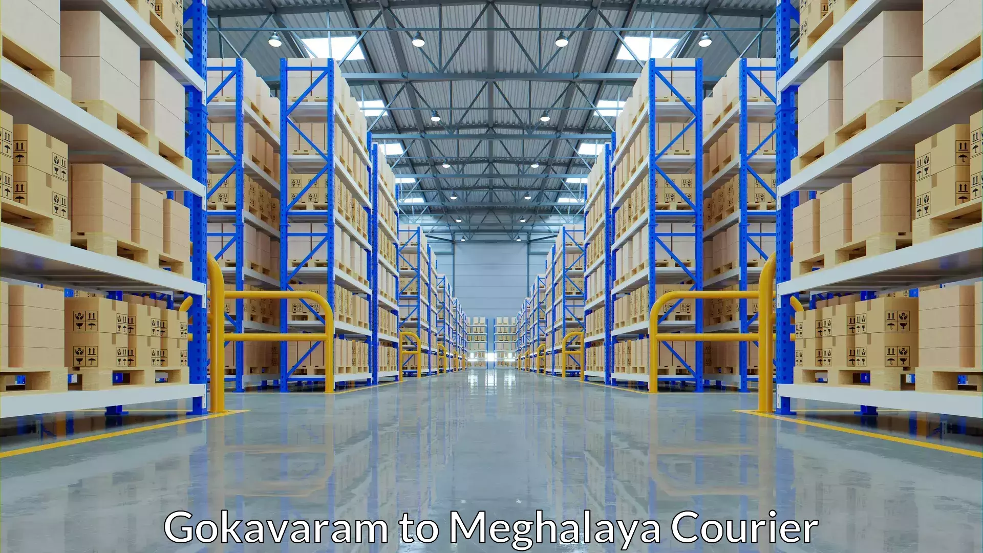 Affordable luggage shipping Gokavaram to Marshillong