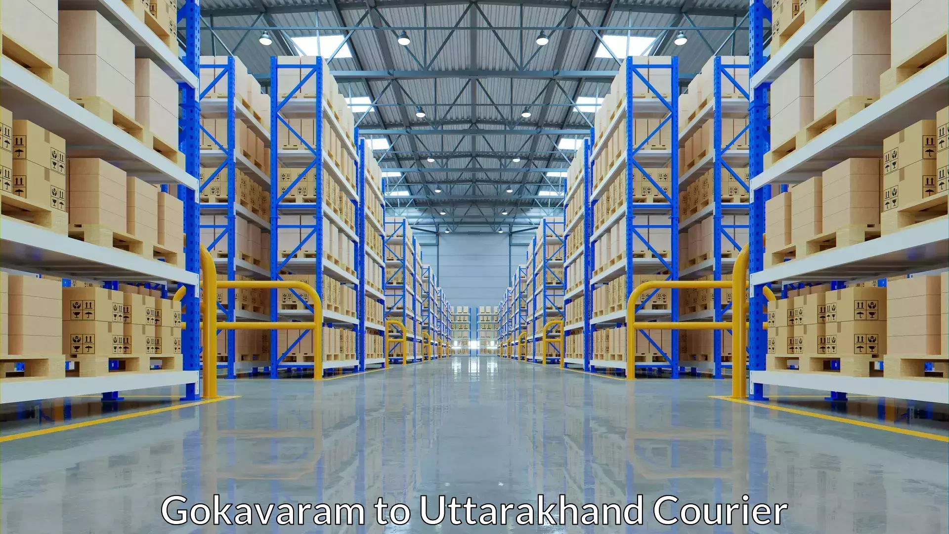 Baggage shipping logistics Gokavaram to Haldwani