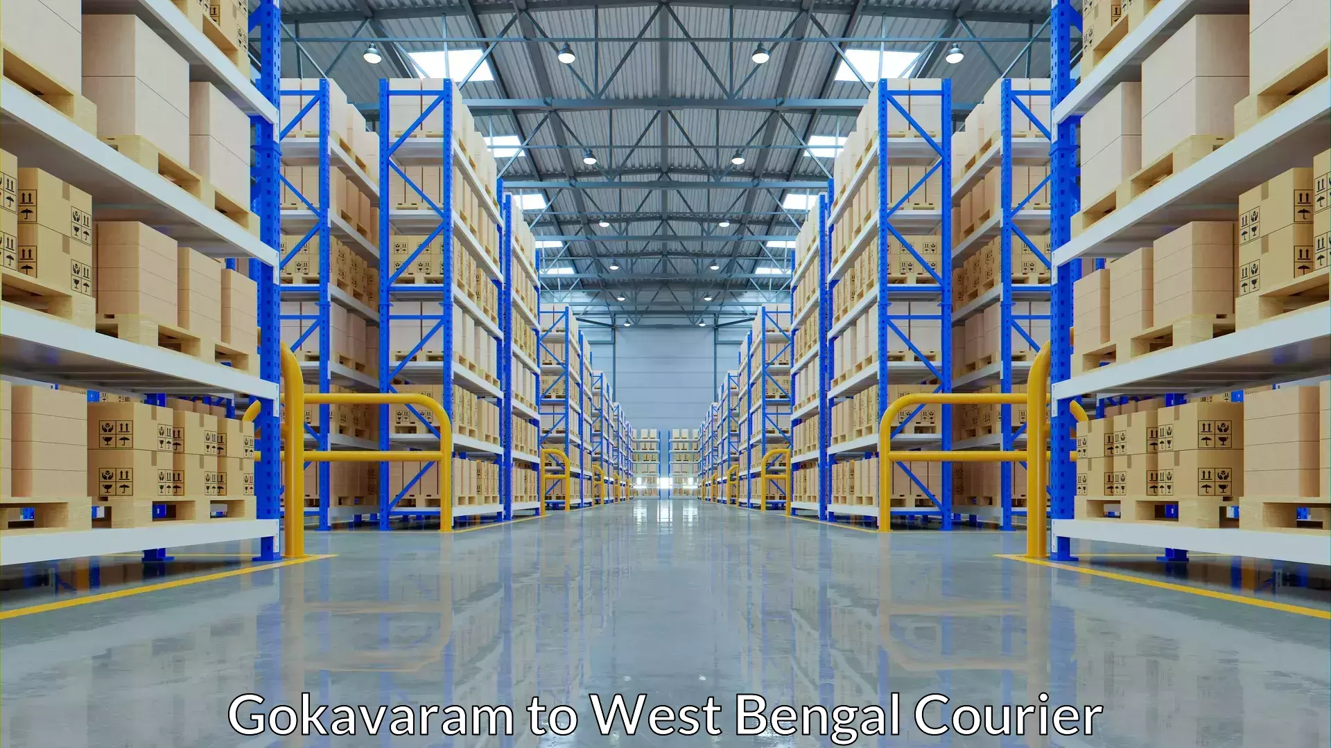 Baggage courier solutions Gokavaram to Pandua