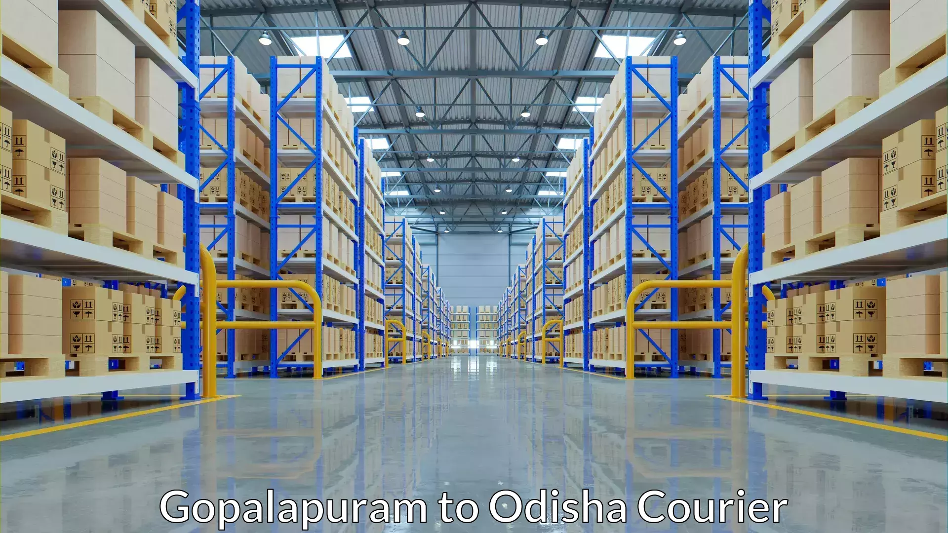 Baggage shipping quotes Gopalapuram to Konark