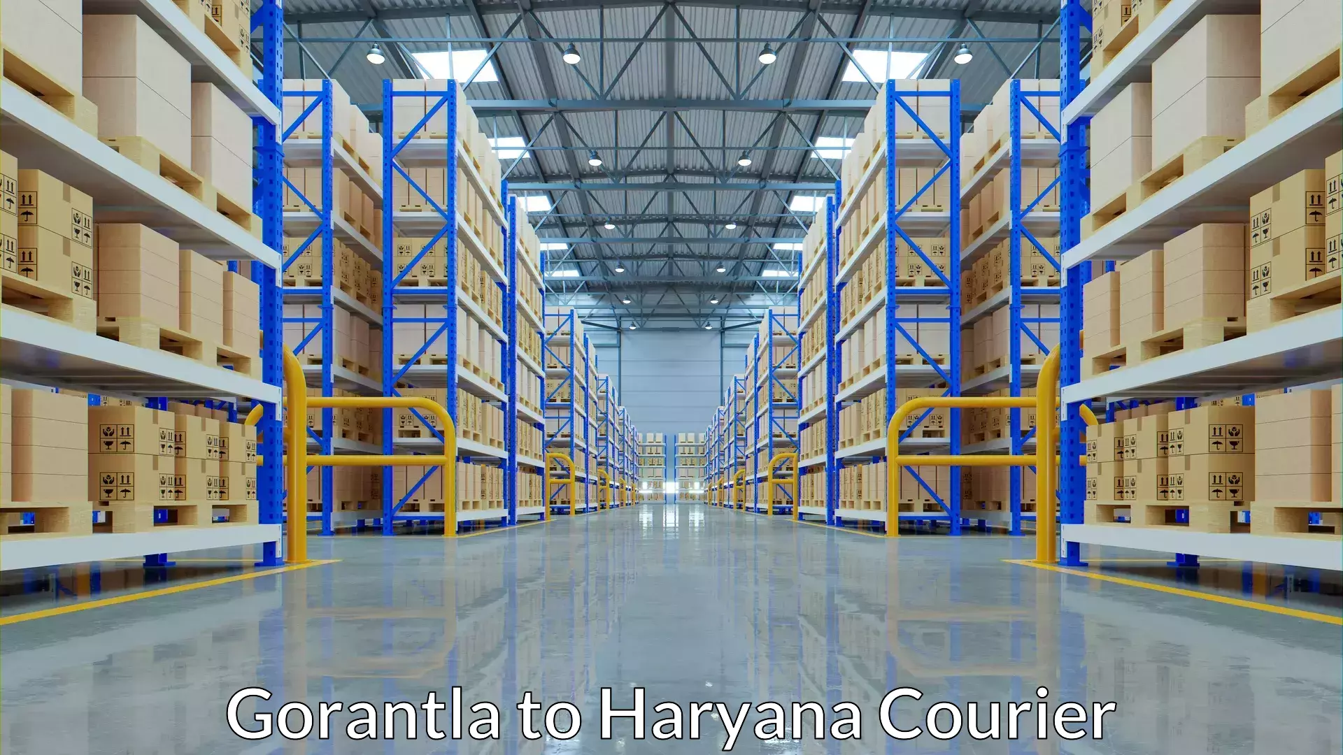 Premium luggage courier Gorantla to Haryana