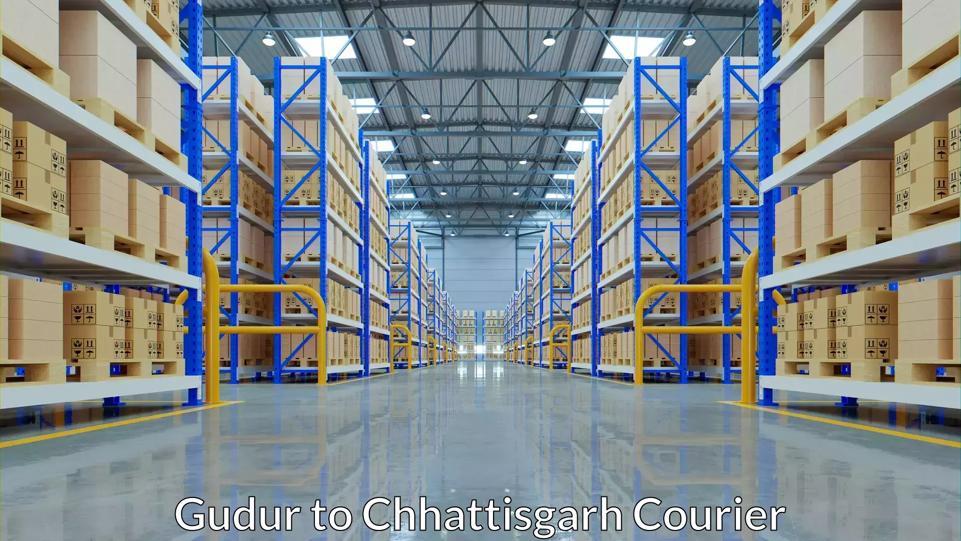 Baggage shipping service Gudur to Chhattisgarh