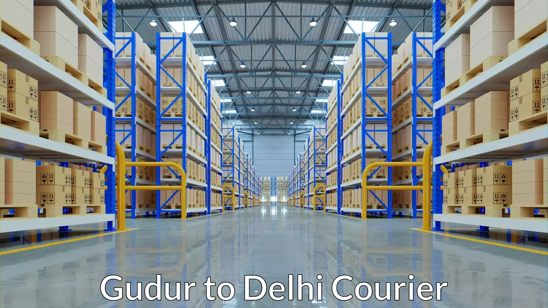 Baggage courier optimization Gudur to NIT Delhi