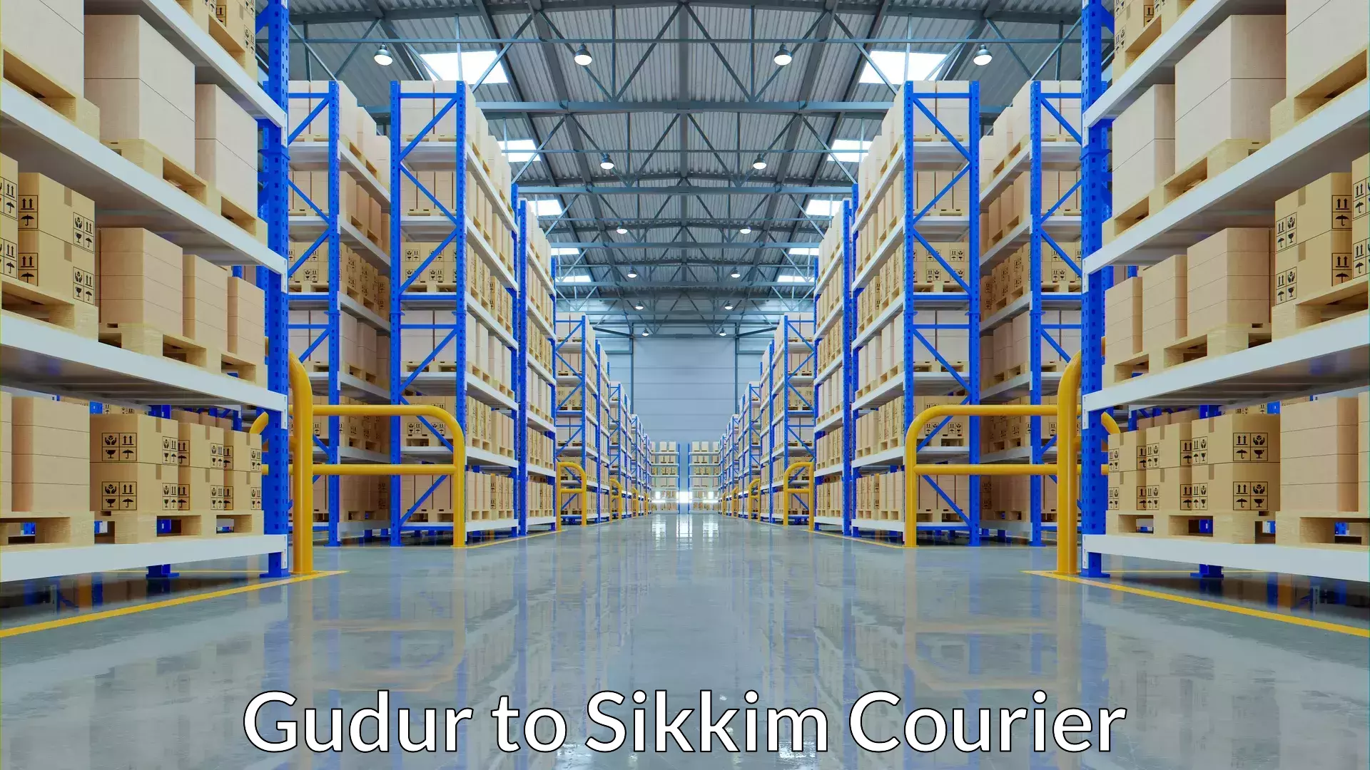 High-quality baggage shipment Gudur to Sikkim