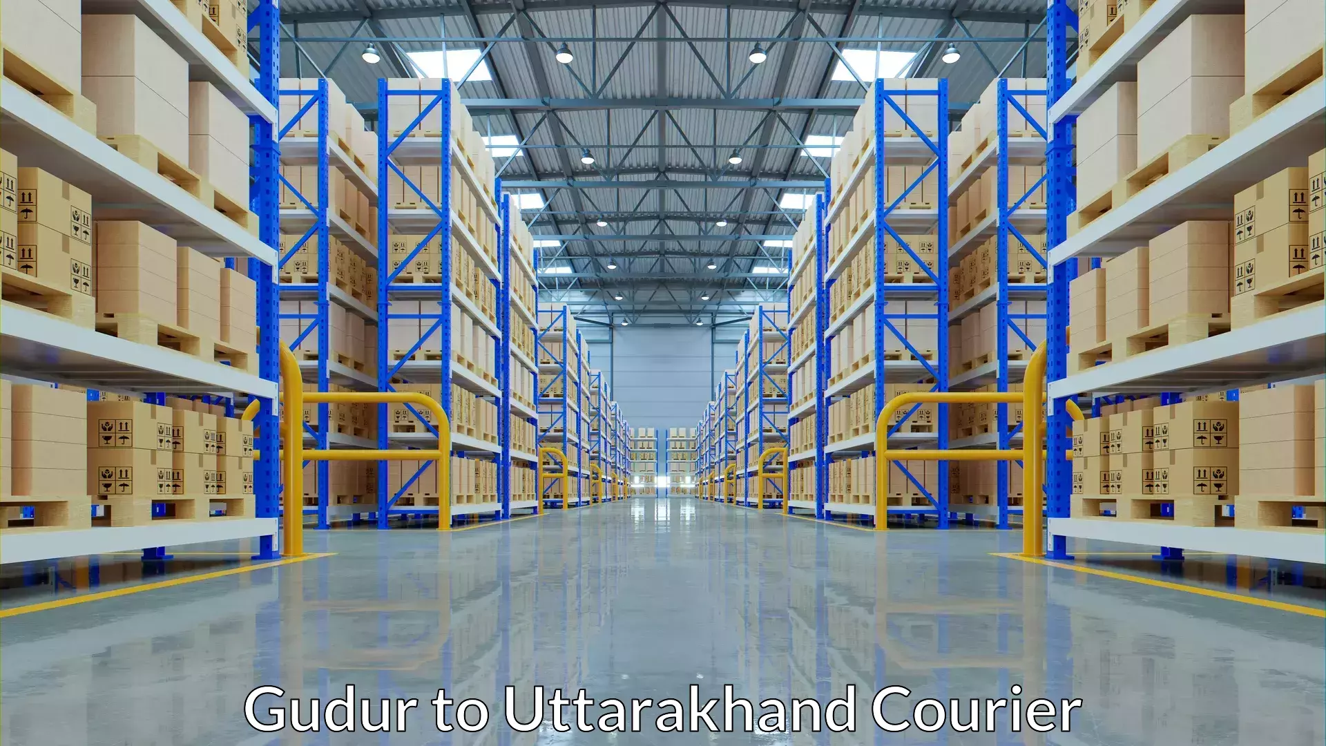 Baggage courier logistics Gudur to Tanakpur