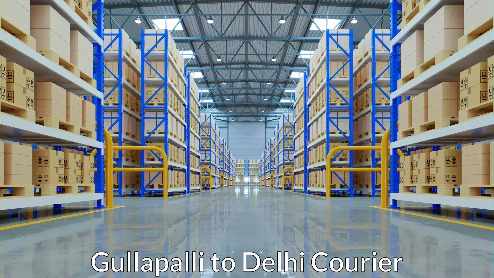 Luggage transport consultancy Gullapalli to Delhi