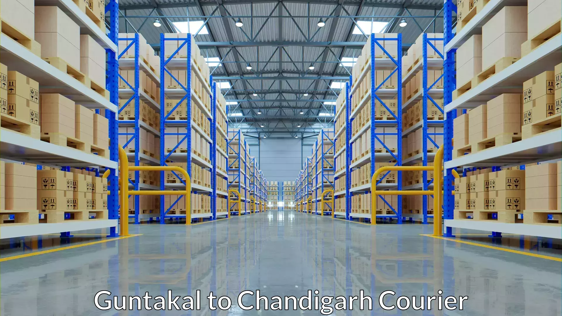 Luggage shipping logistics Guntakal to Chandigarh