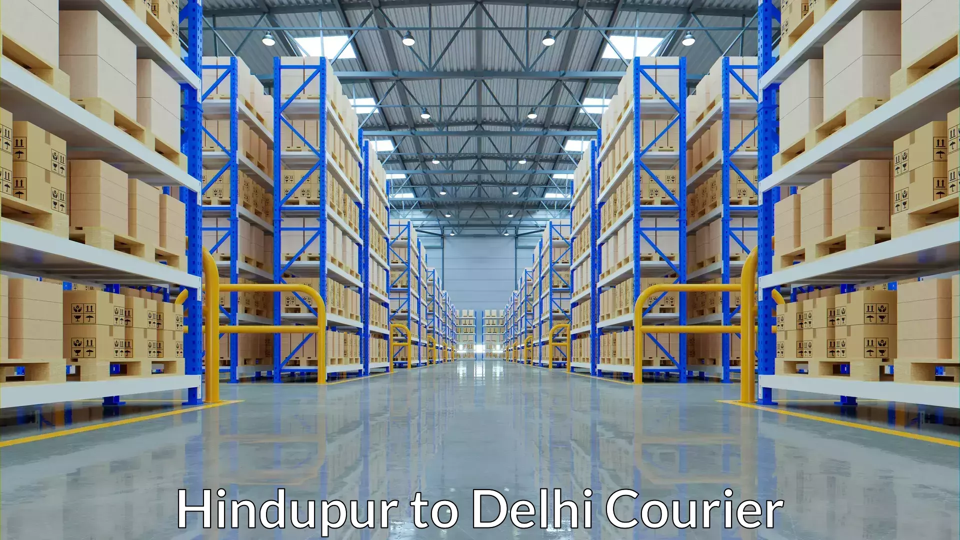 Baggage shipping advice Hindupur to Naraina Industrial Estate