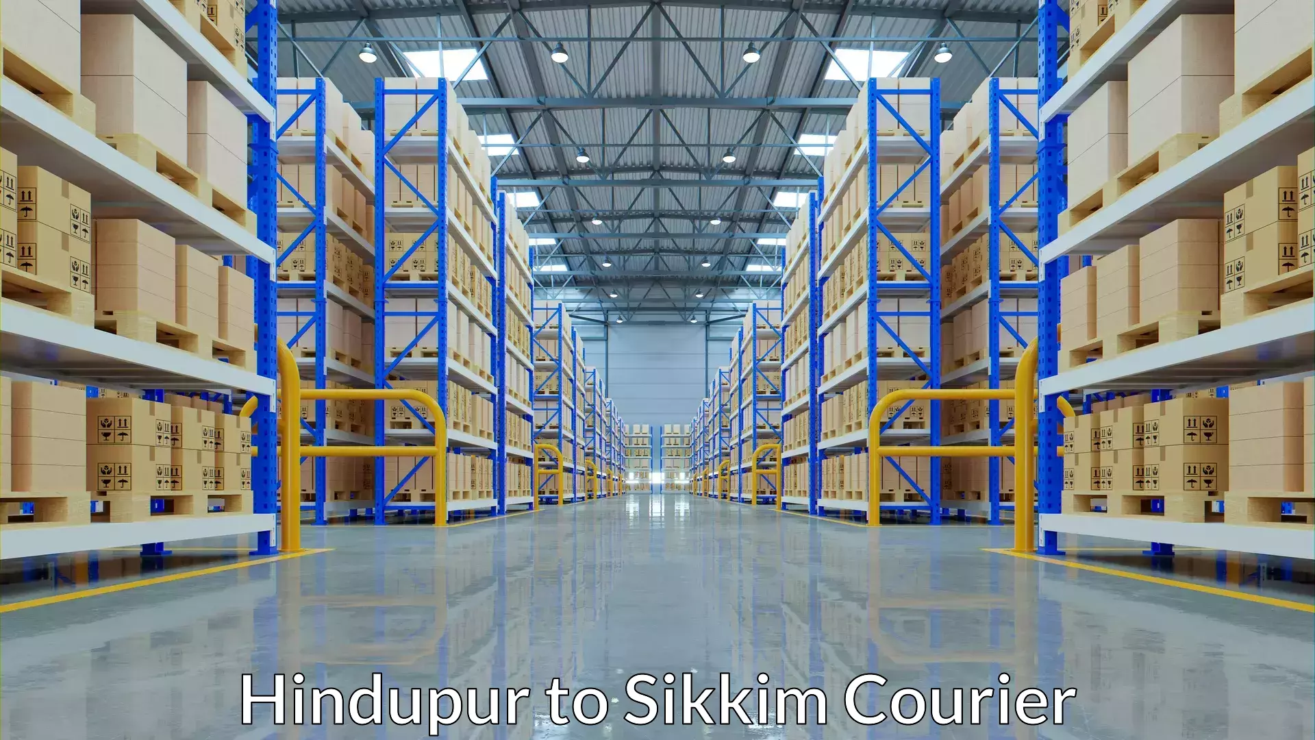 Luggage shipping discounts Hindupur to NIT Sikkim