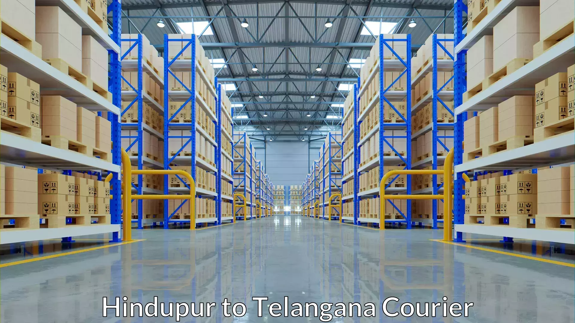 Luggage delivery providers Hindupur to Tandur