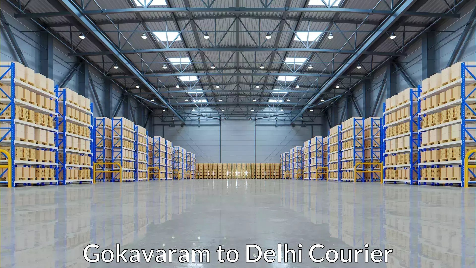 Holiday season luggage delivery in Gokavaram to IIT Delhi