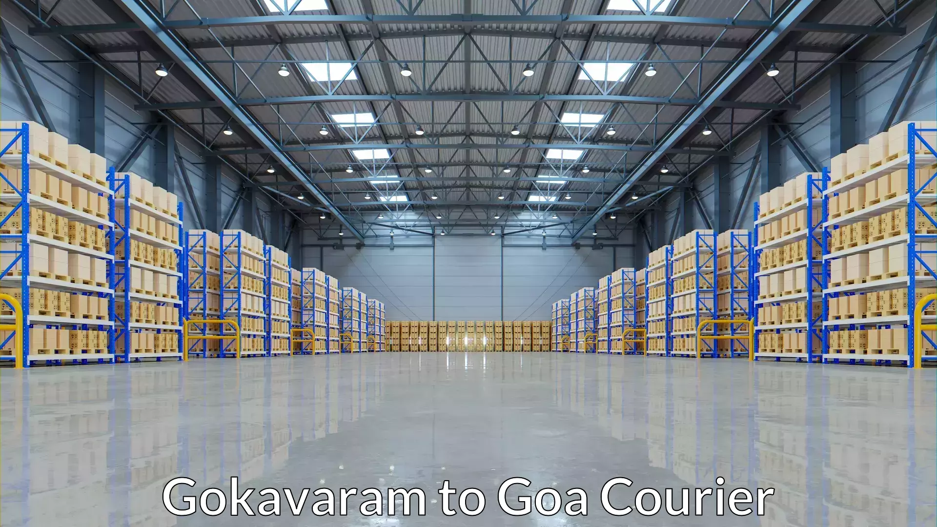 Luggage shipment processing Gokavaram to Panaji