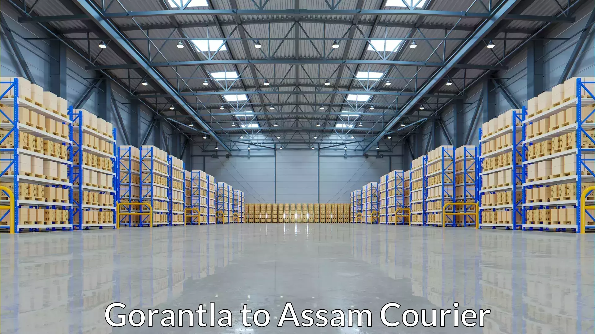 Baggage shipping quotes Gorantla to Assam