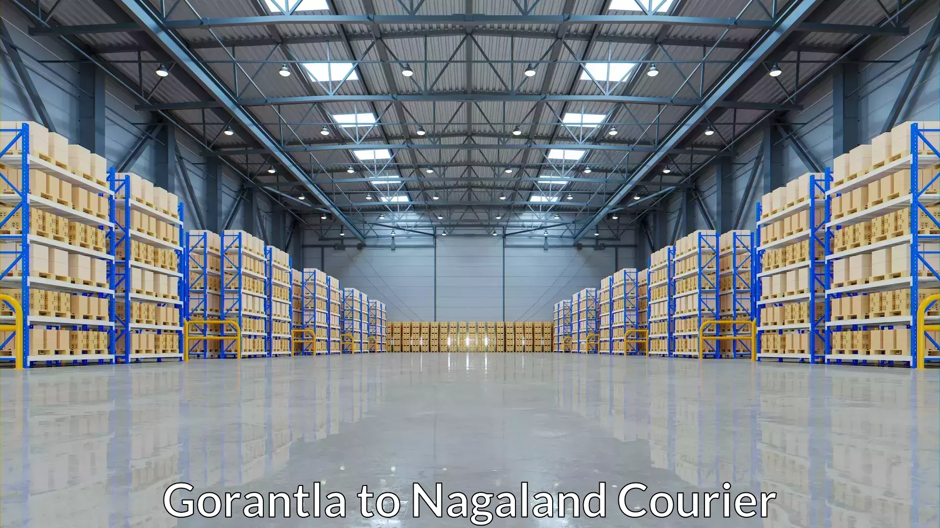 Efficient baggage transport Gorantla to NIT Nagaland