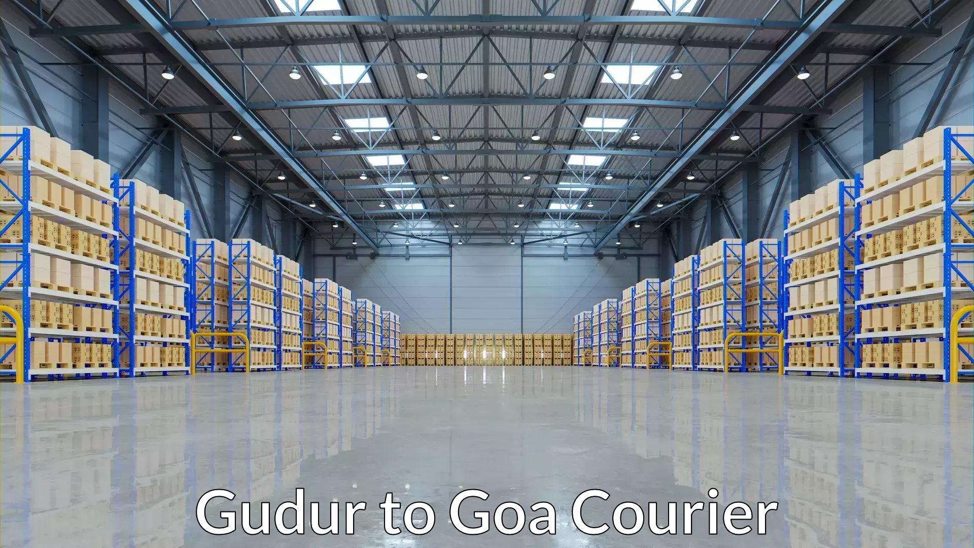 Luggage courier planning Gudur to Margao