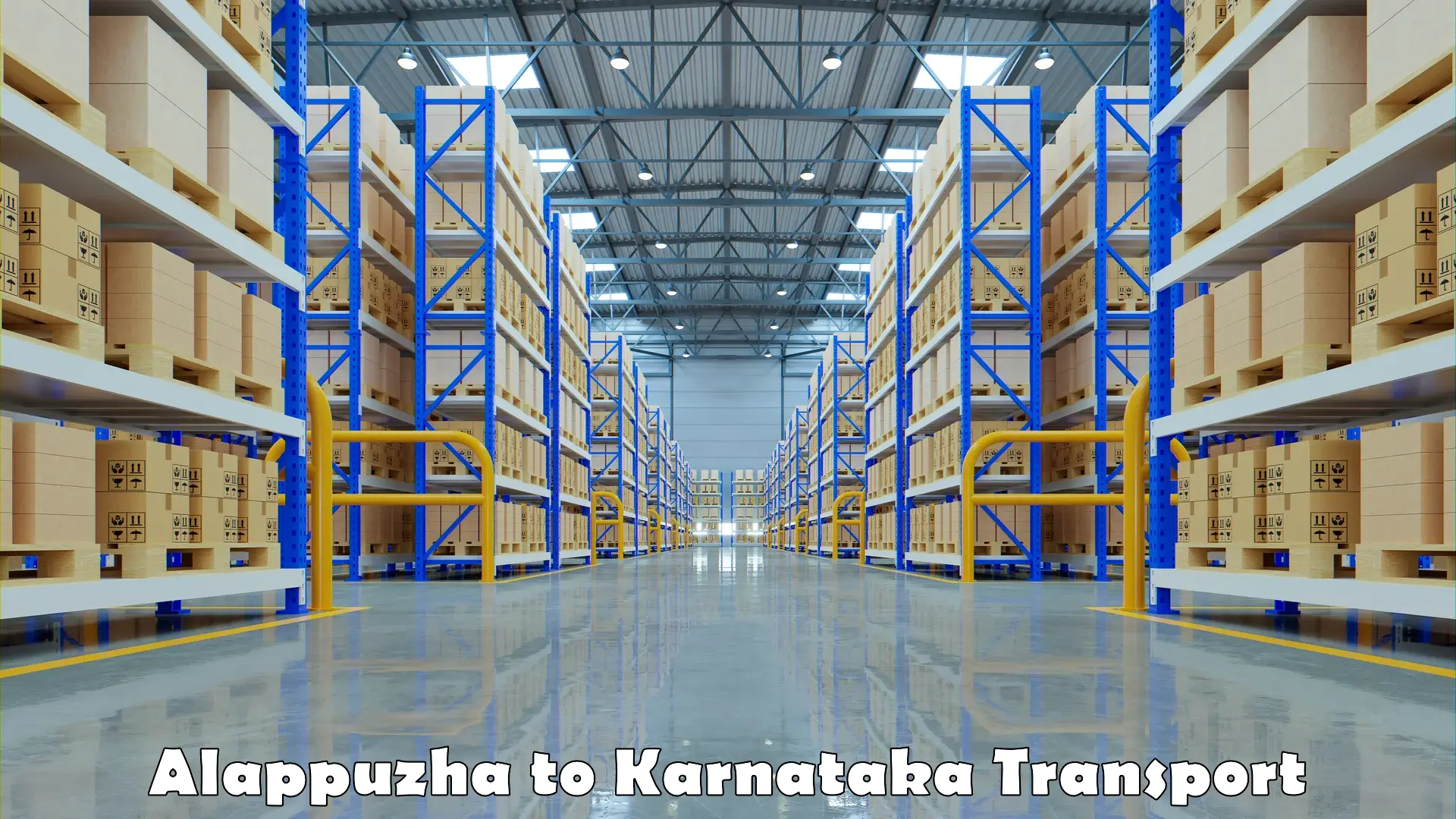 Cargo transport services Alappuzha to Kerur