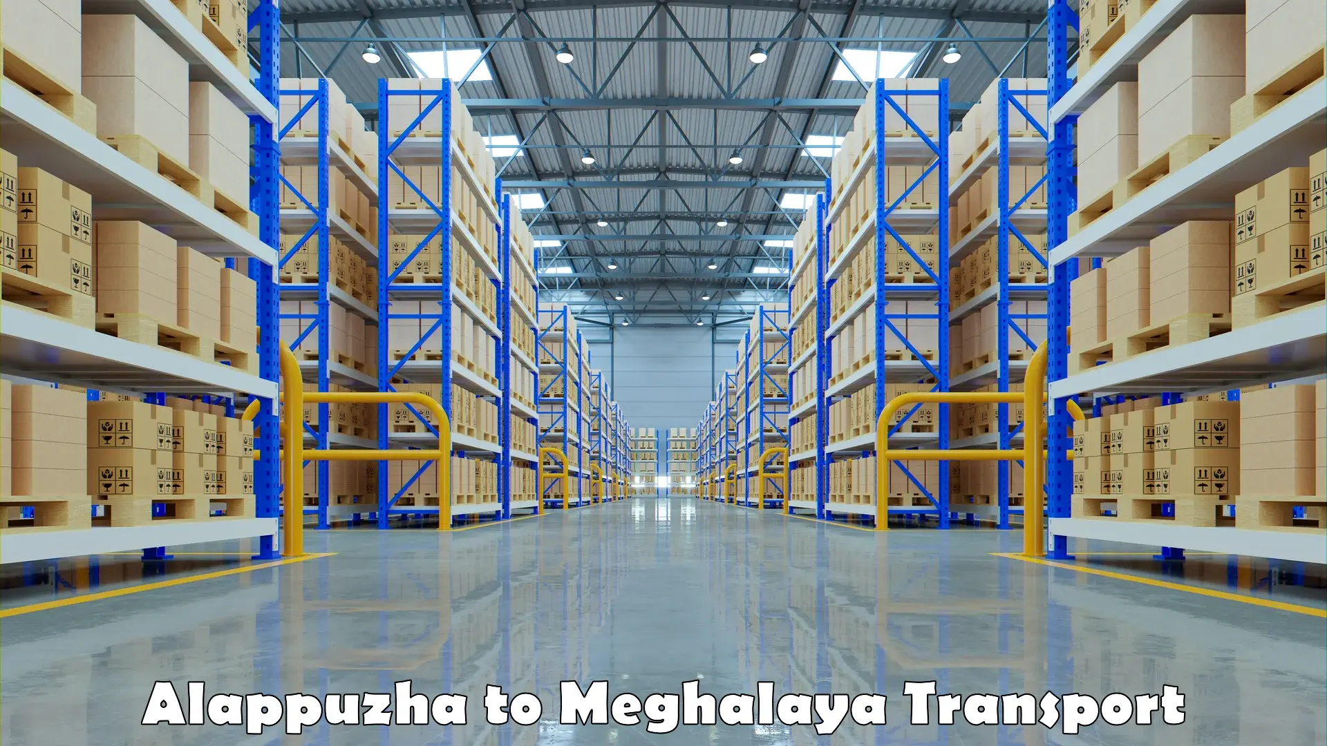 Shipping services Alappuzha to Meghalaya