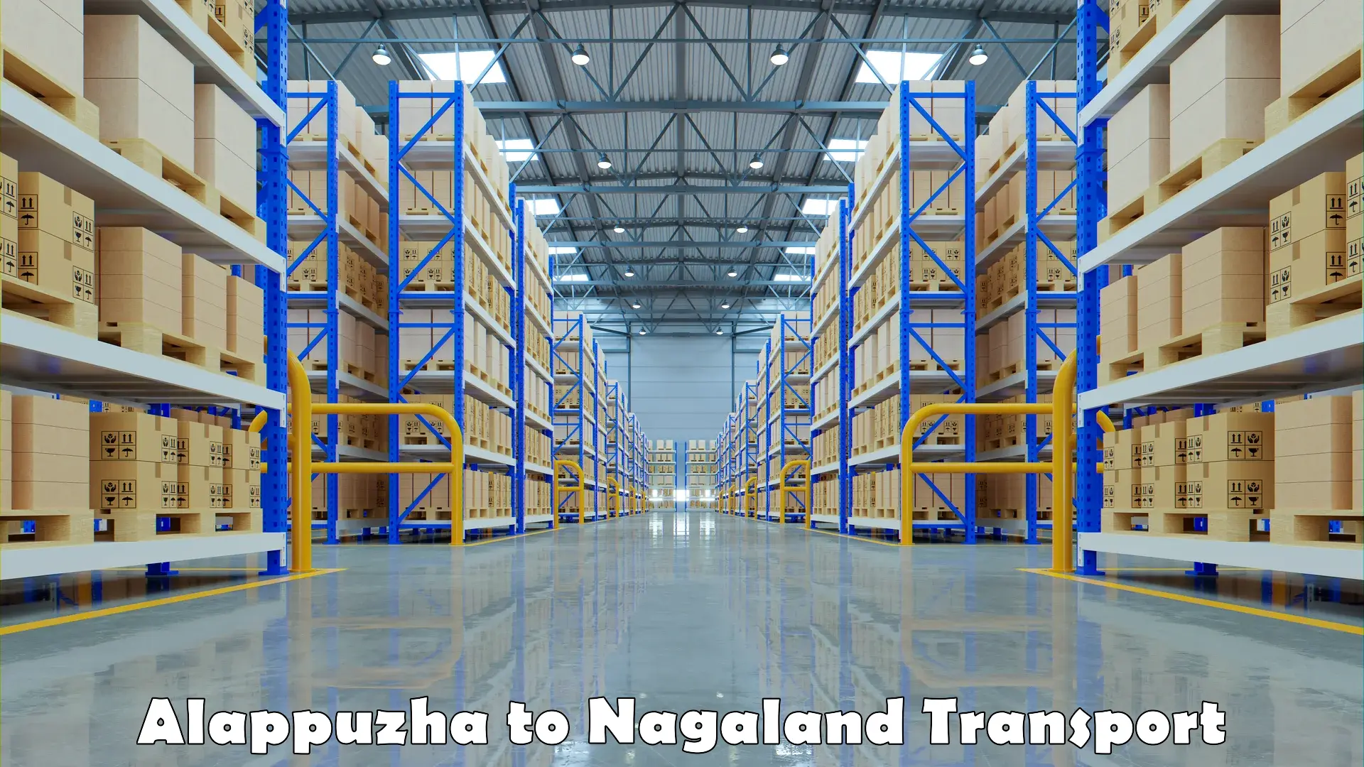 Logistics transportation services Alappuzha to Nagaland