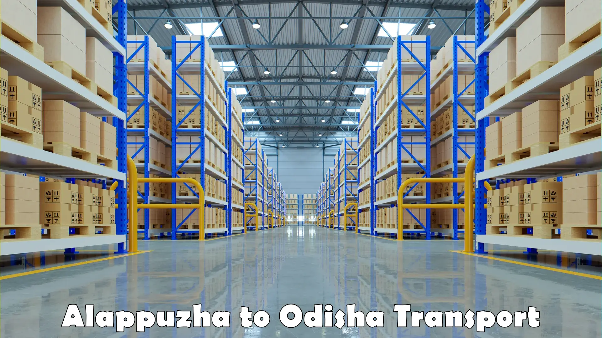 Intercity goods transport Alappuzha to Odisha