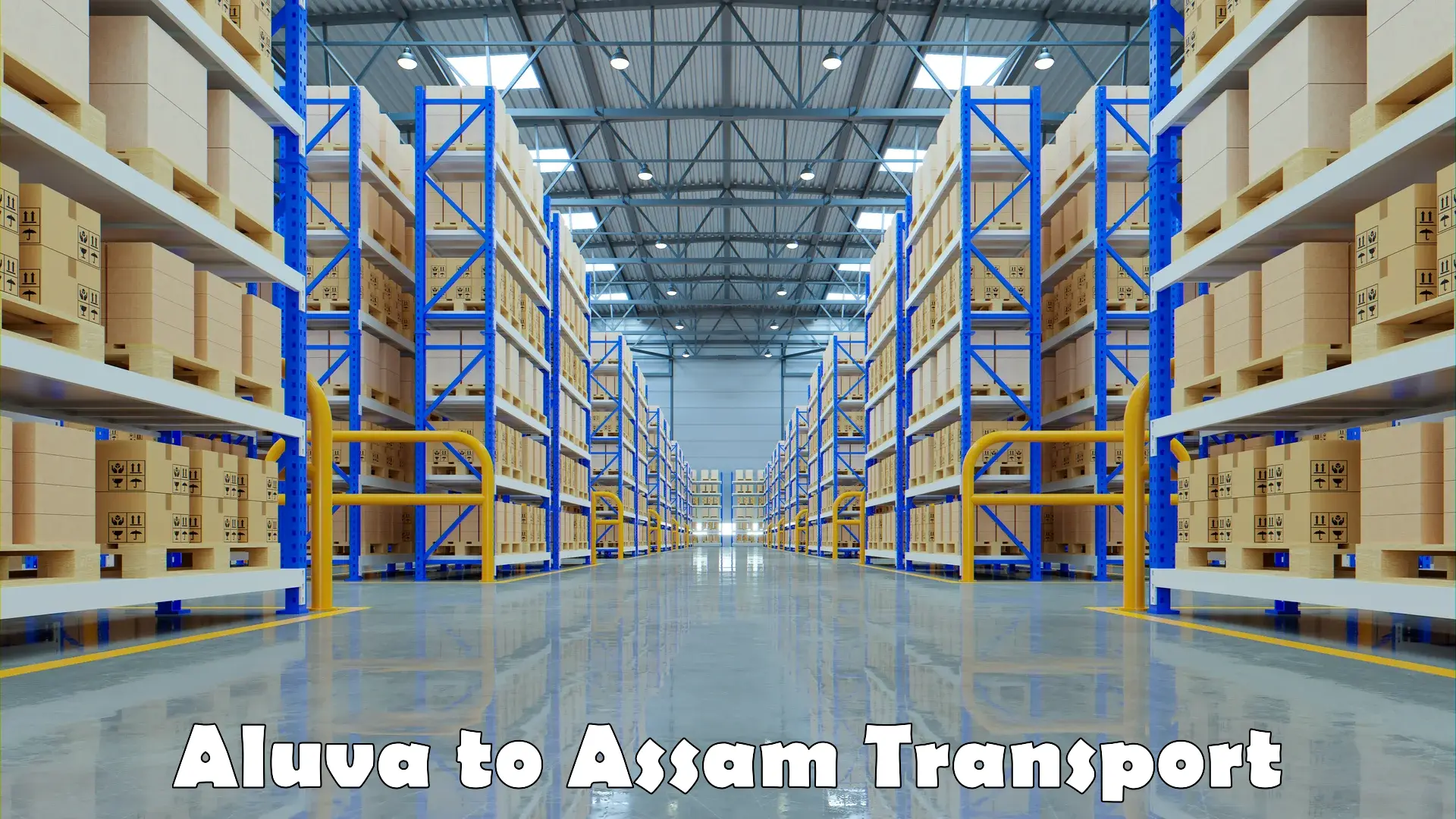 Furniture transport service Aluva to Assam