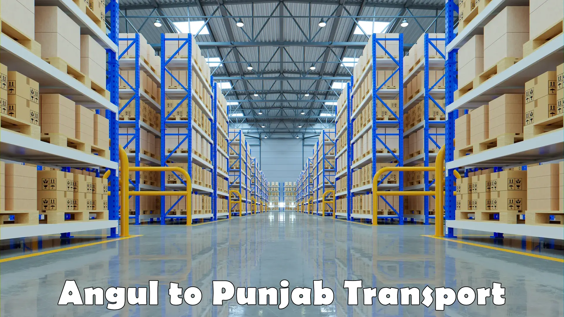 Transport shared services Angul to Ludhiana