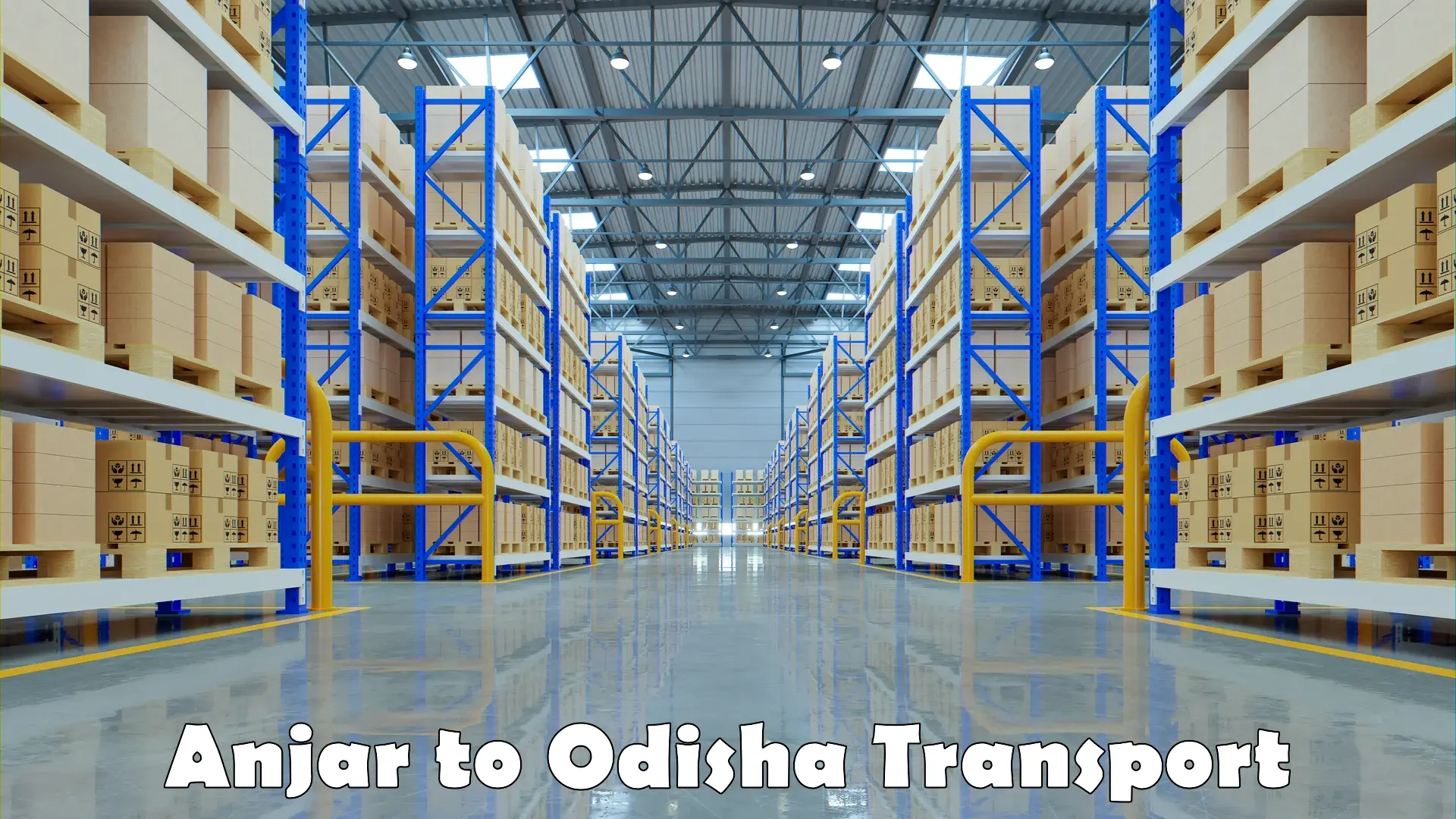 Domestic goods transportation services Anjar to Odisha