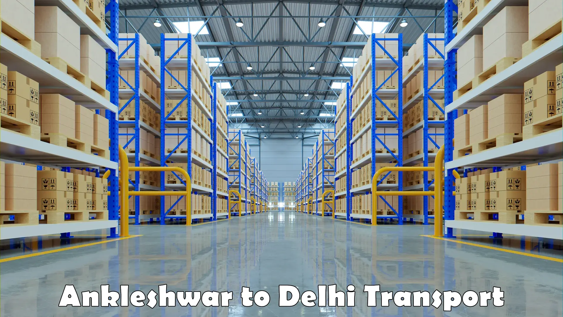 Goods transport services Ankleshwar to Delhi