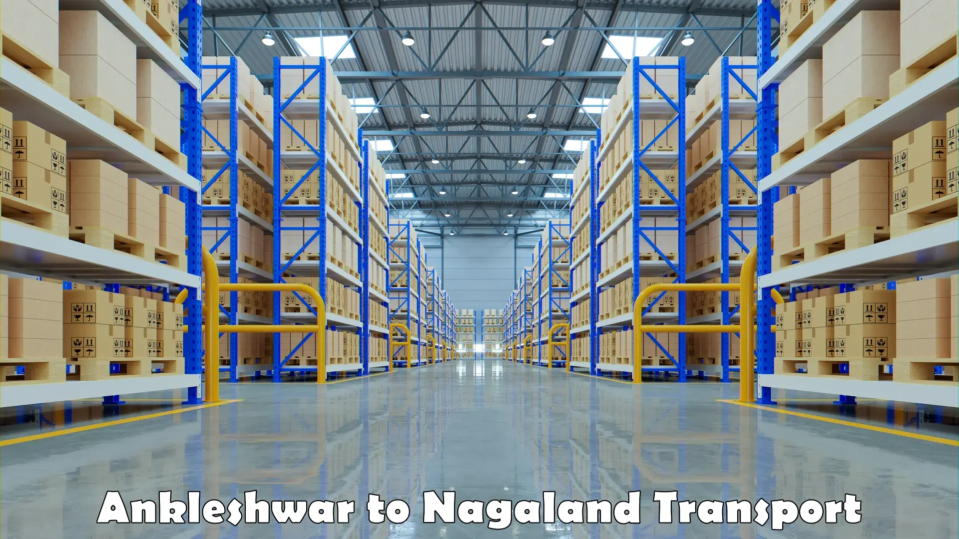 Transport in sharing Ankleshwar to Nagaland