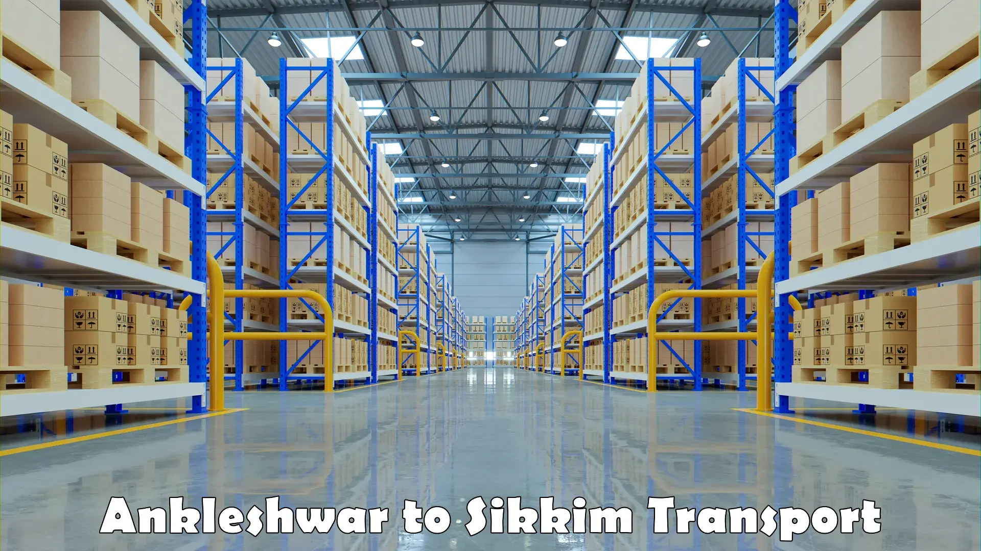 International cargo transportation services Ankleshwar to East Sikkim