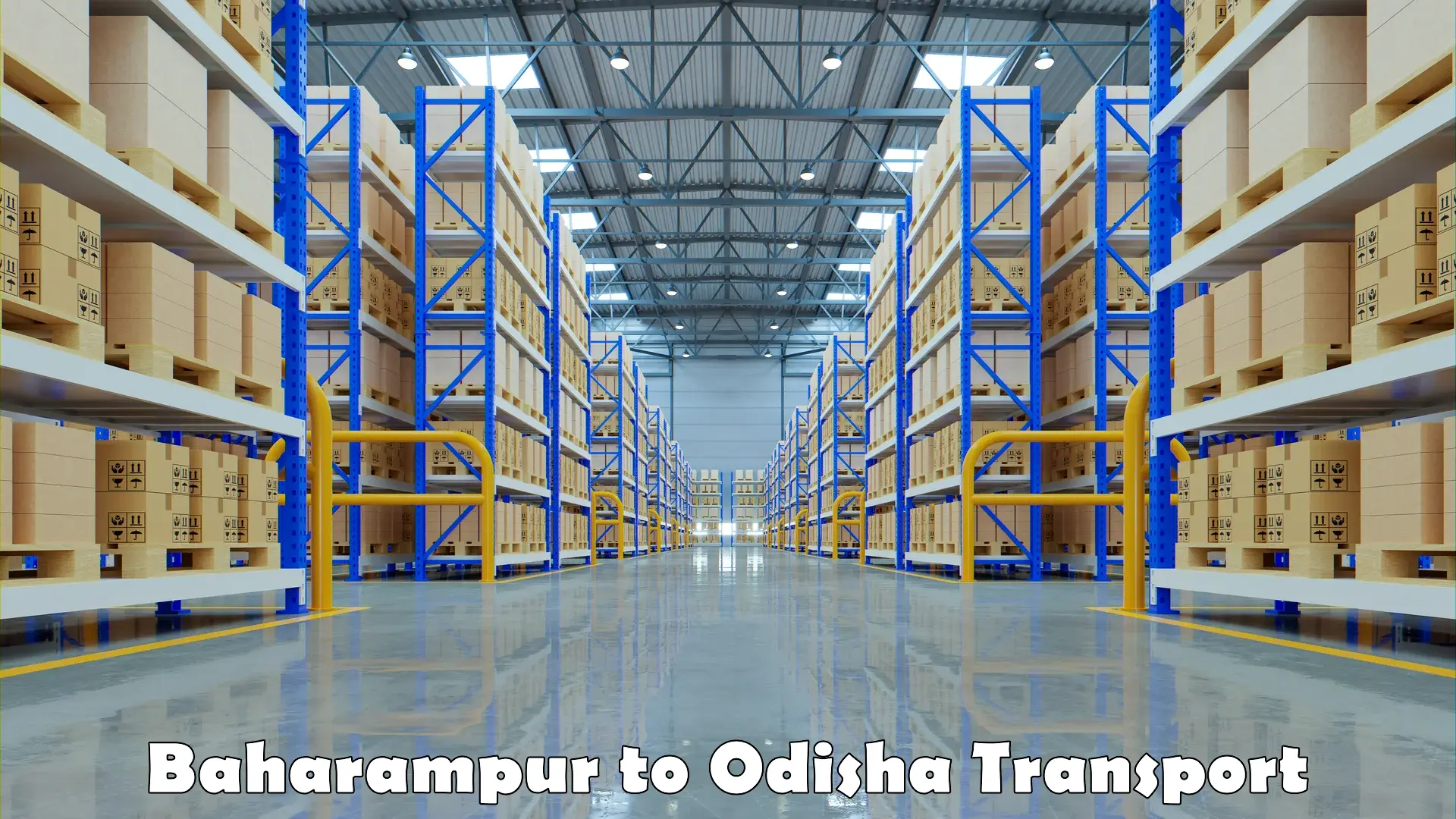 Cargo transportation services Baharampur to Odisha