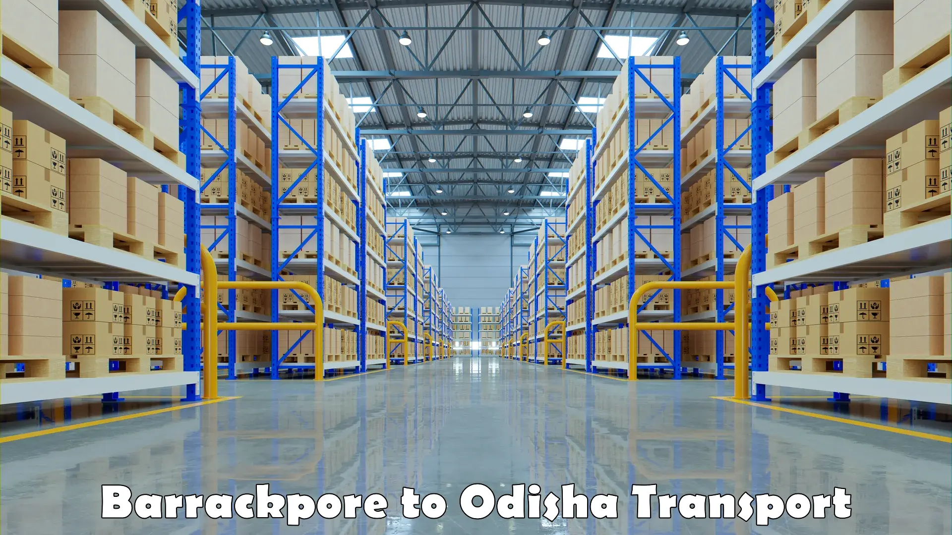 Domestic goods transportation services Barrackpore to Odisha