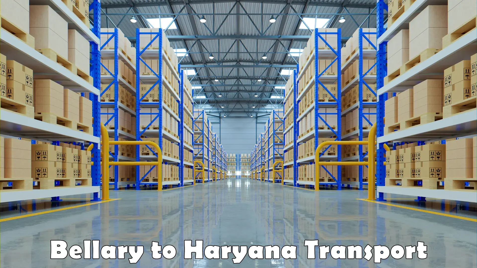 Domestic goods transportation services Bellary to Haryana