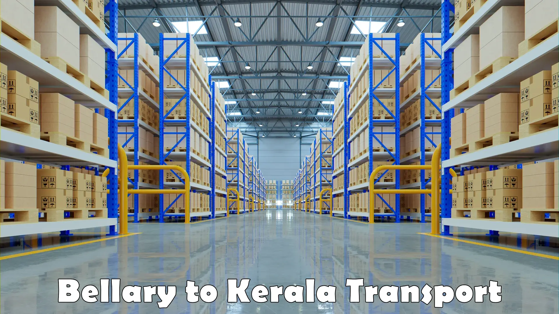 Nationwide transport services Bellary to Kerala