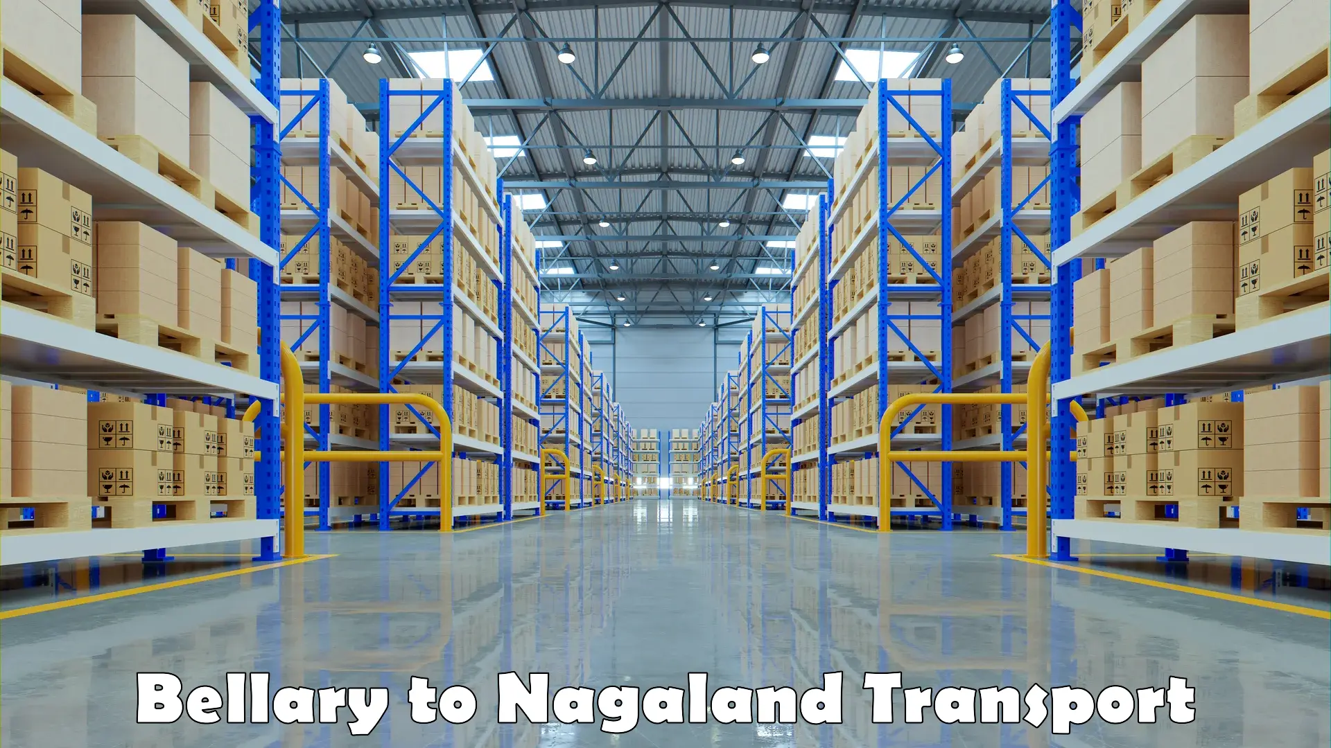 Commercial transport service Bellary to Nagaland