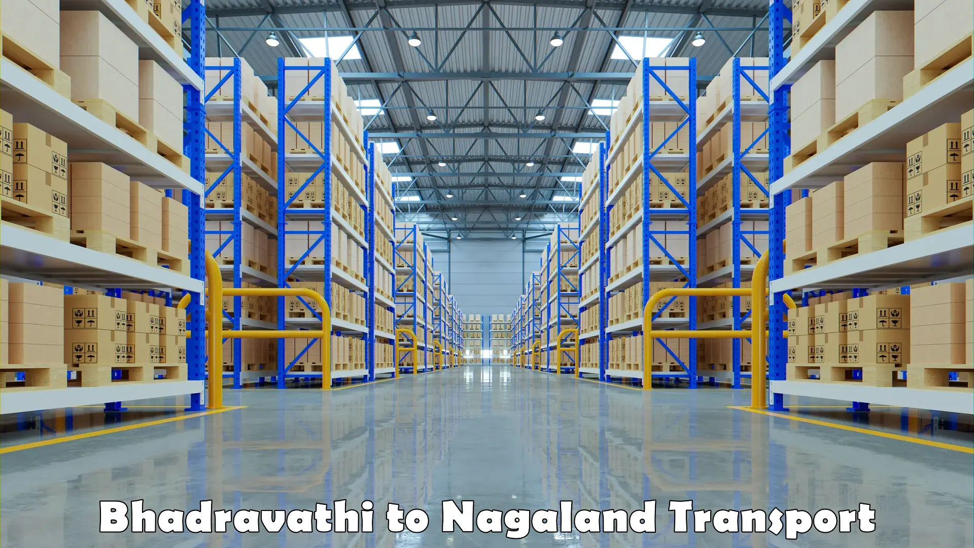 Two wheeler parcel service Bhadravathi to Nagaland