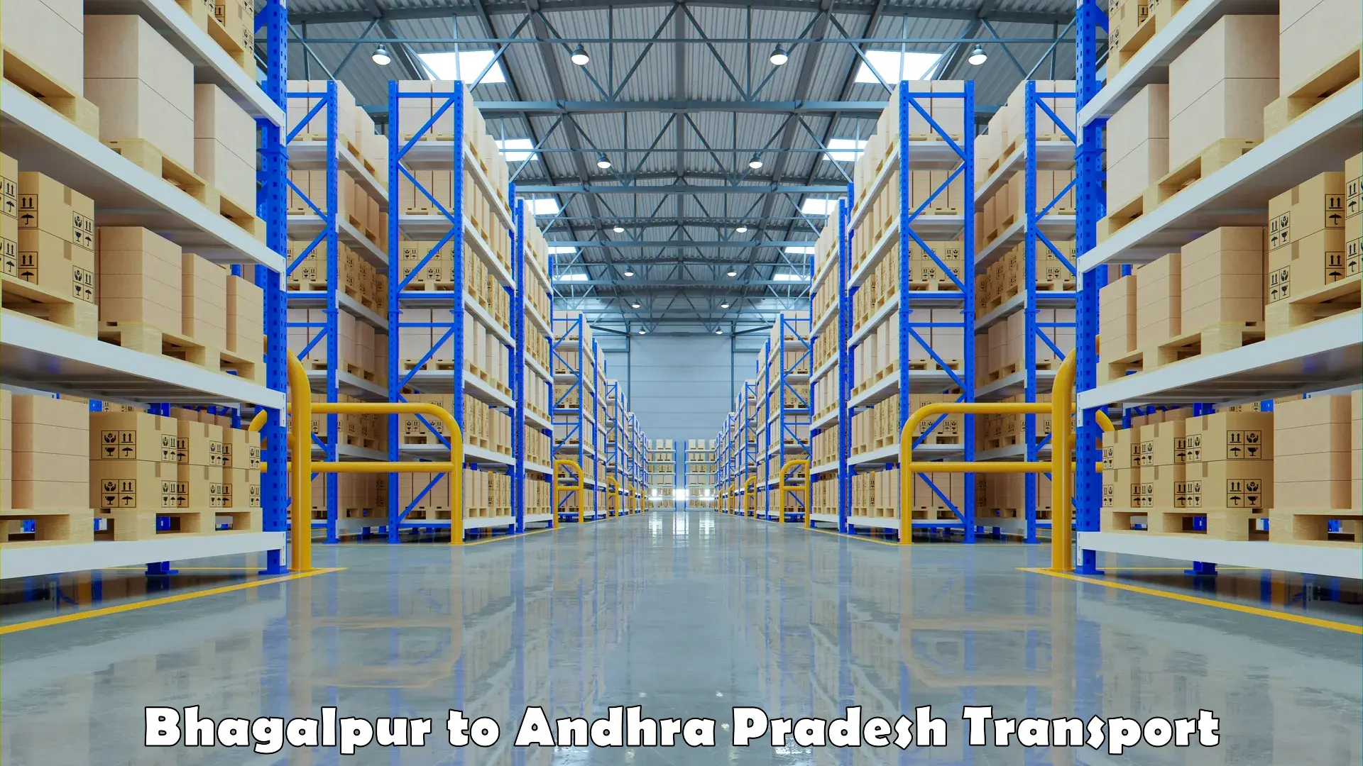 Truck transport companies in India Bhagalpur to Kakinada