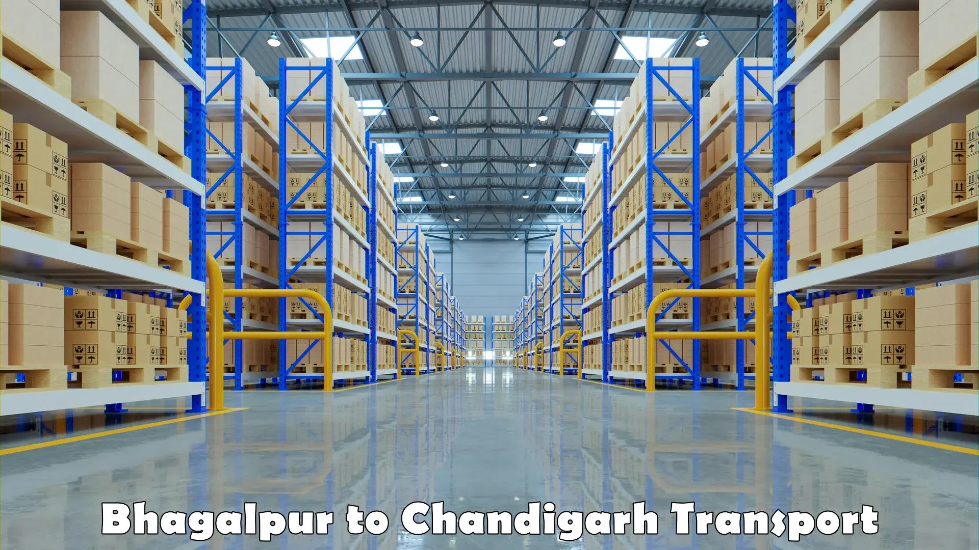 Commercial transport service Bhagalpur to Panjab University Chandigarh