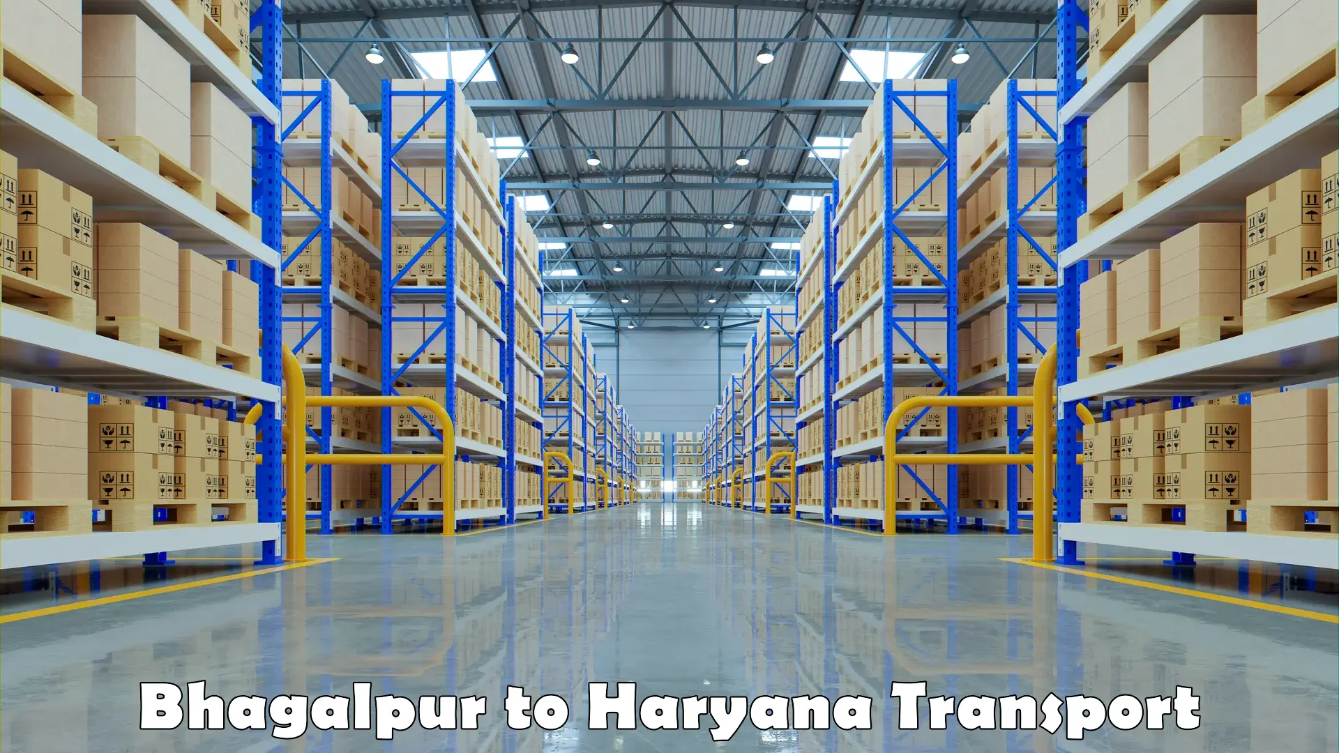Air freight transport services Bhagalpur to Haryana