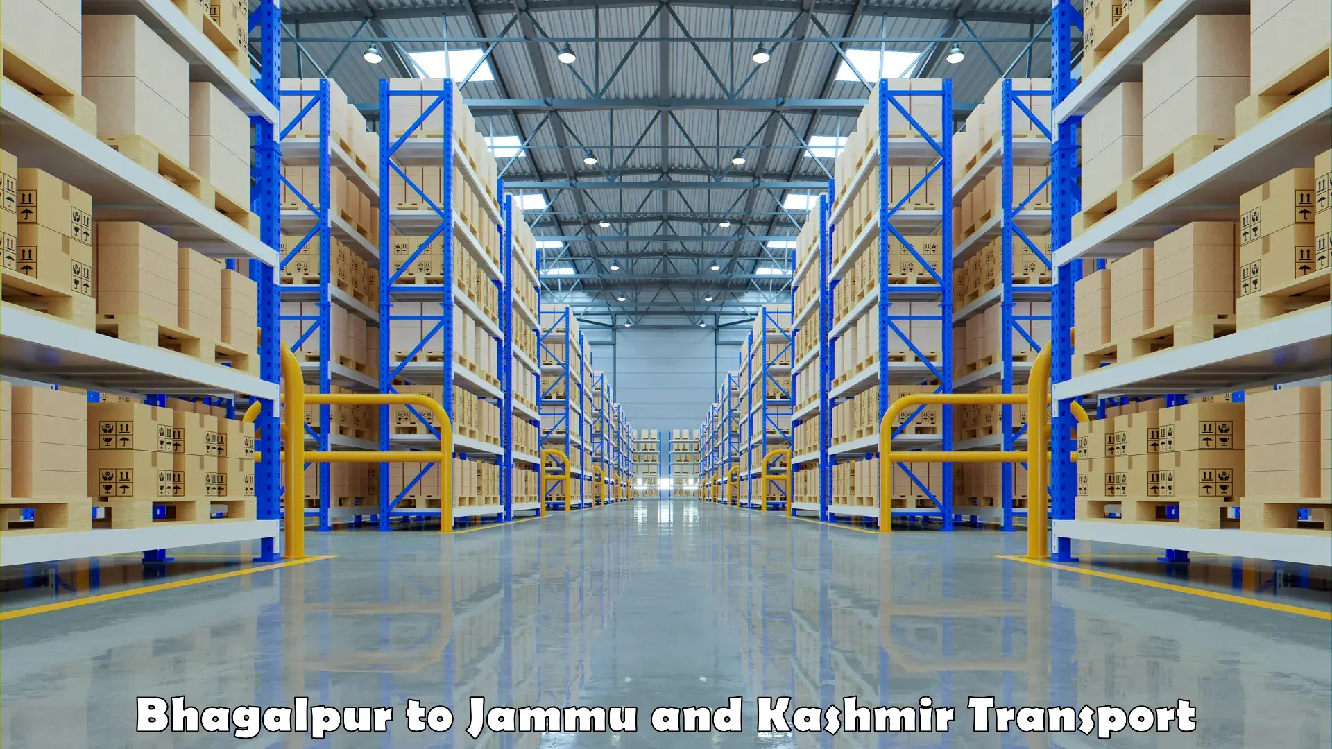 Goods delivery service Bhagalpur to Jammu and Kashmir