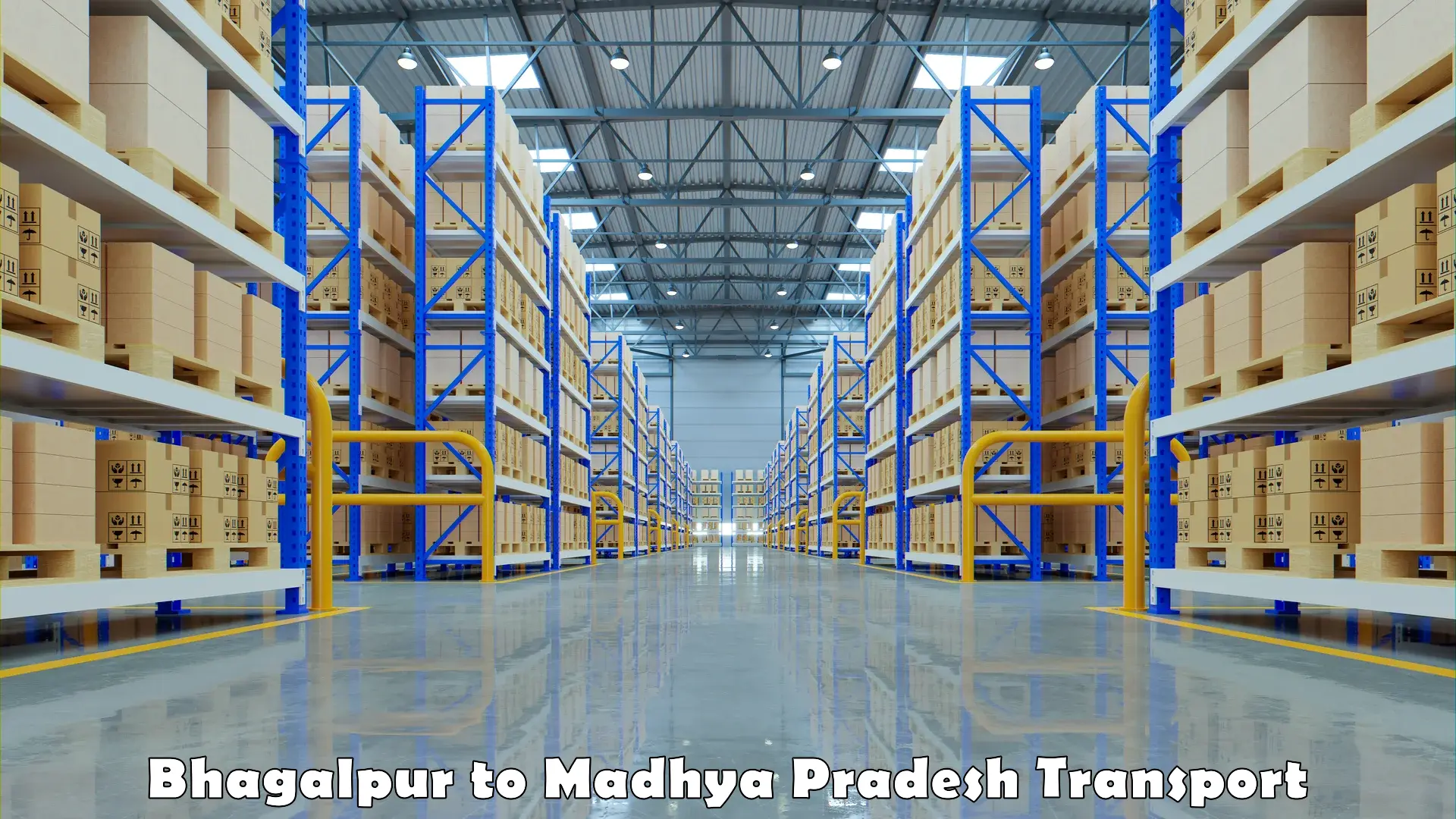 Inland transportation services Bhagalpur to Madhya Pradesh
