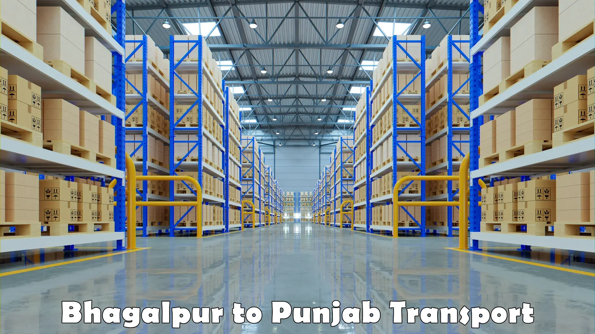Nationwide transport services Bhagalpur to Punjab