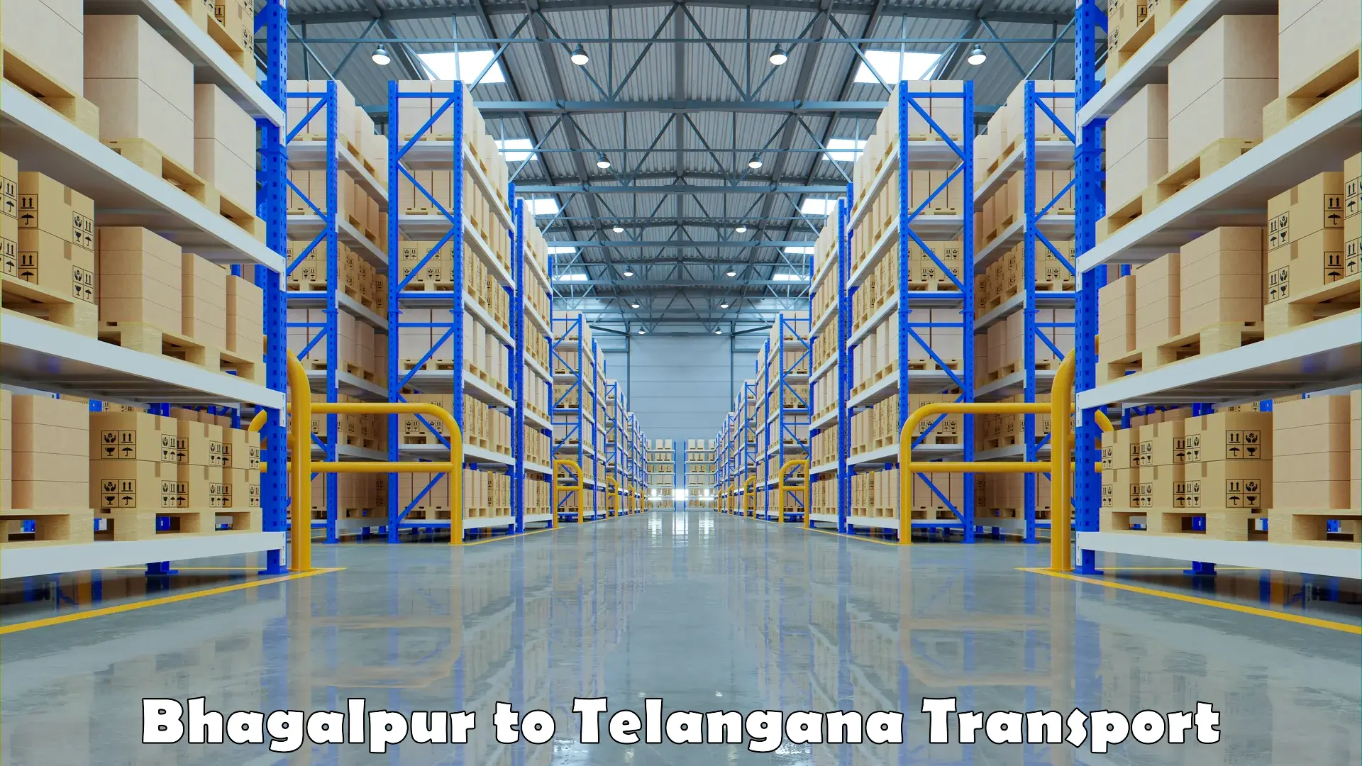 Container transportation services Bhagalpur to Telangana