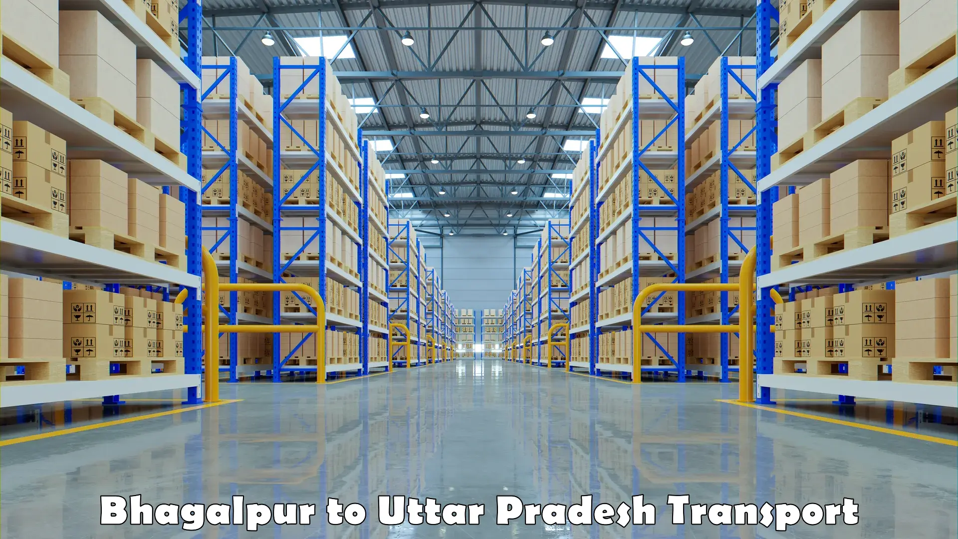 Material transport services Bhagalpur to Bahraich