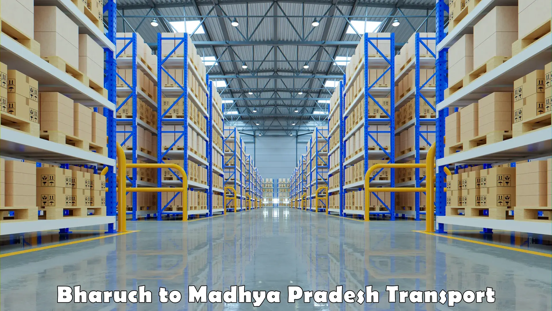 Intercity goods transport Bharuch to Madhya Pradesh