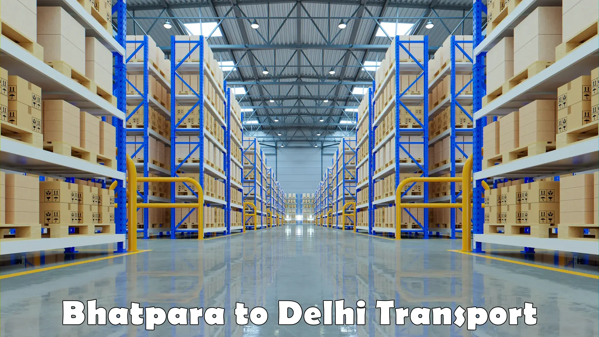 Shipping services Bhatpara to Delhi