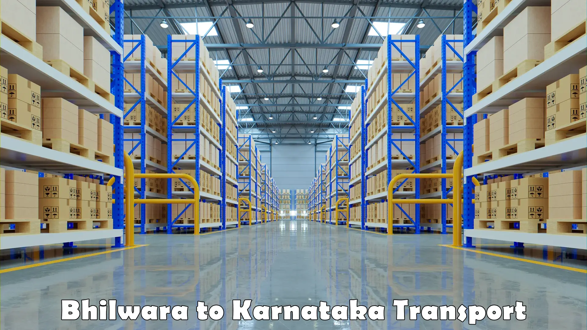 Furniture transport service Bhilwara to Karnataka