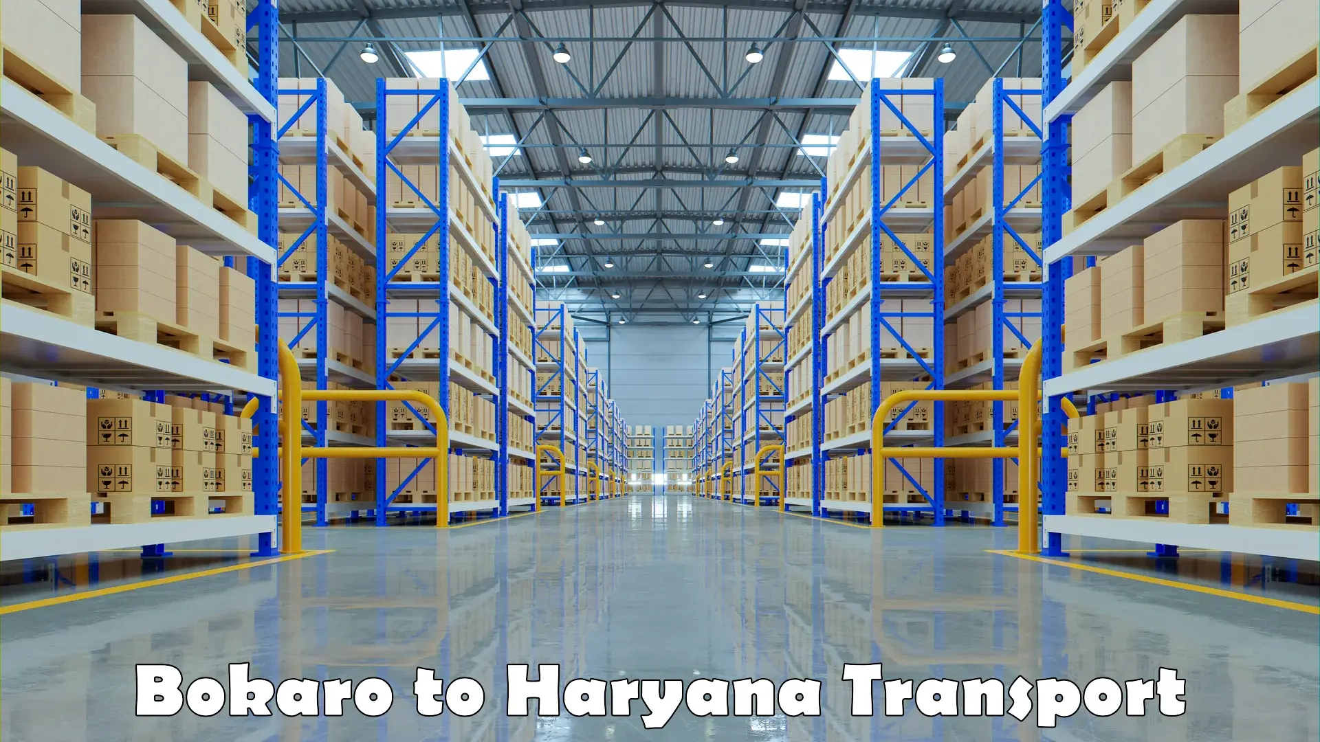Shipping services in Bokaro to Ellenabad