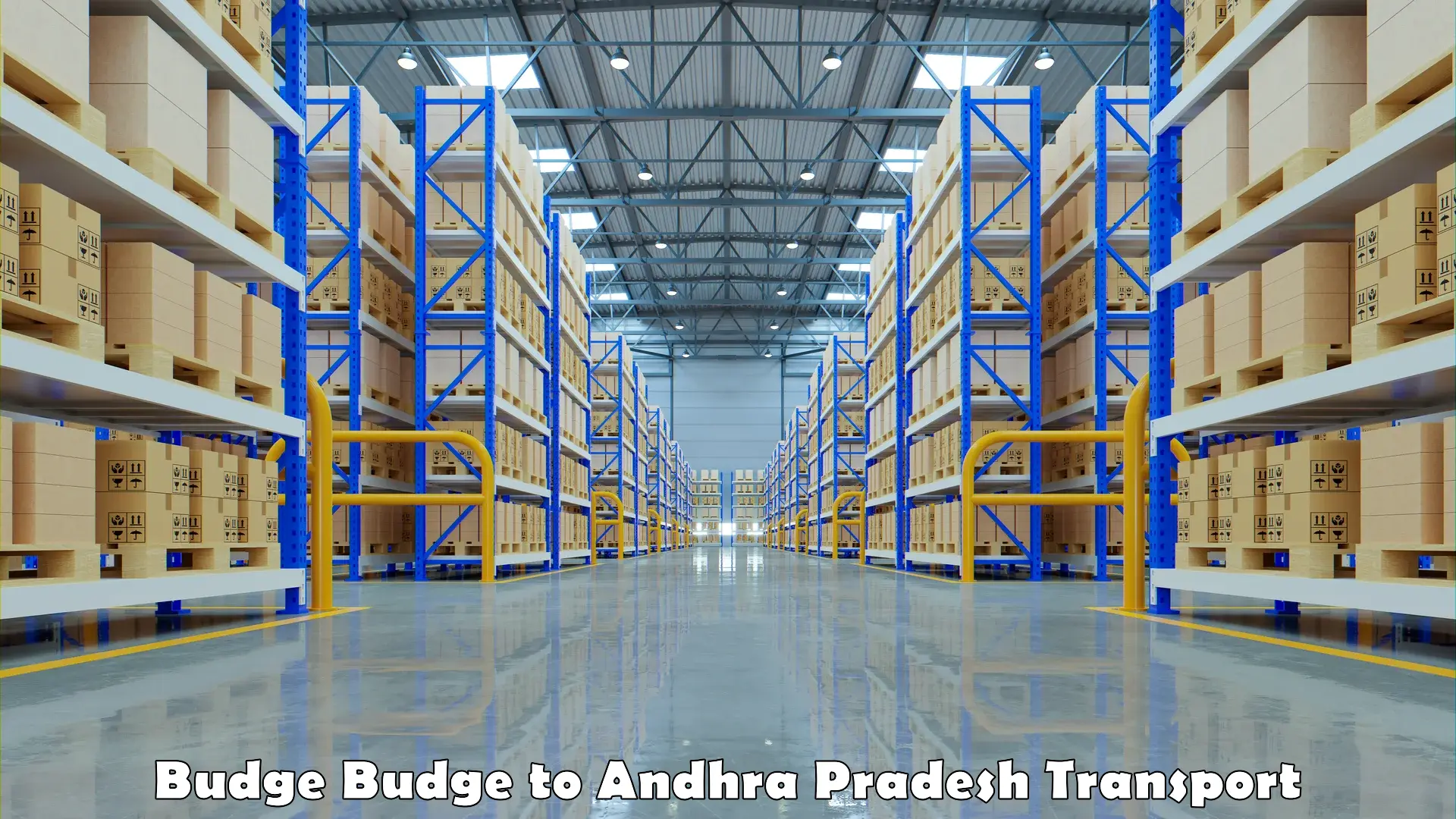Door to door transport services Budge Budge to Andhra Pradesh