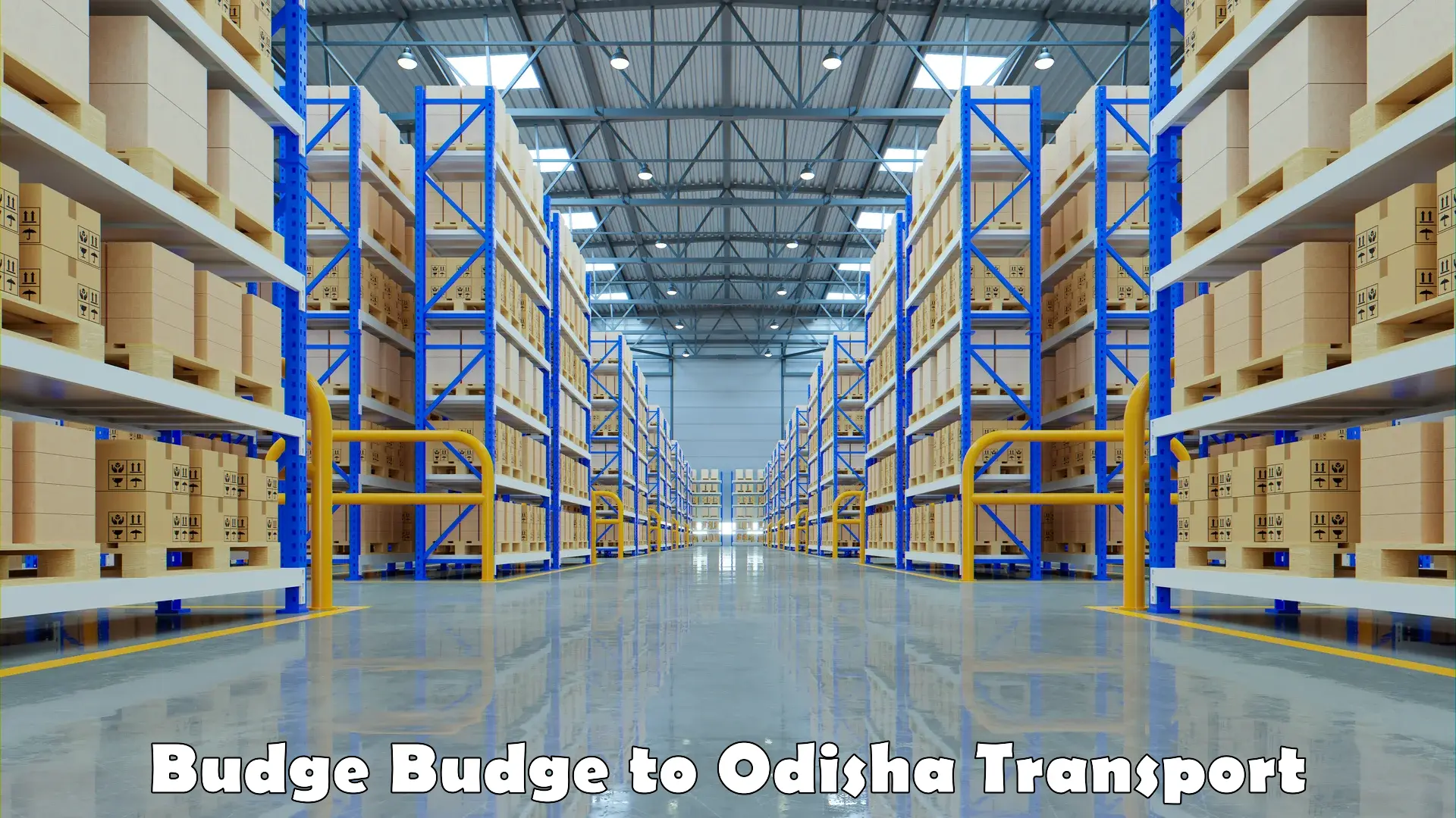 Cargo transportation services Budge Budge to Odisha